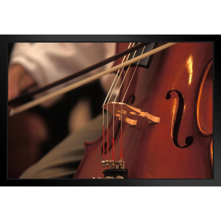 Latitude Run Close Up Of Musician Playing Cello Photo Art Print